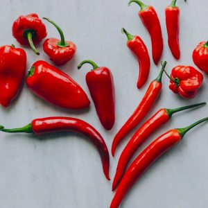 Verse pepers & paprika's Westlandpeppers